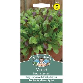 Mixed Lettuce Leaves Seeds